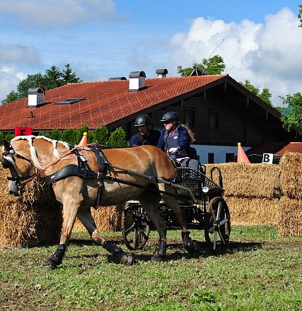 Marathon Bundes Mannschaftsmeisterschaft Reiten und Fahren 2016 - Fotograf Christian Kapfinger