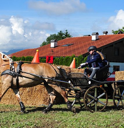 Marathon Bundes Mannschaftsmeisterschaft Reiten und Fahren 2016 - Fotograf Christian Kapfinger