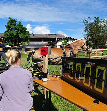 Marathon Bundes Mannschaftsmeisterschaft Reiten und Fahren 2016 - Fotograf Christian Kapfinger