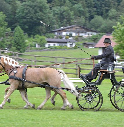 pfo-6257-kopie
