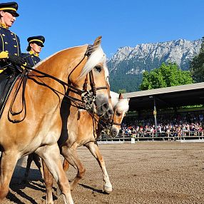 schauprogramm-dressurquadrille-fohlenhofebbs-fotograf-christiankapfinger