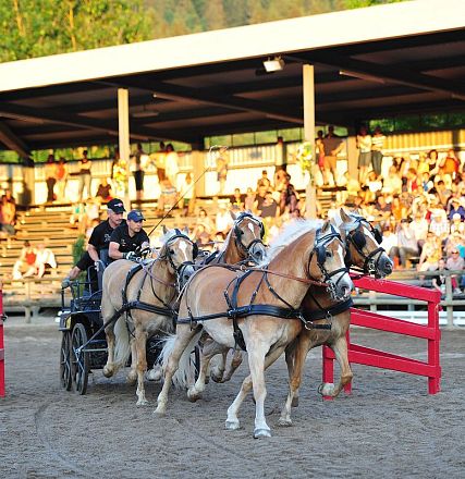schauprogramm-hwa-vierspaenner