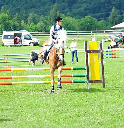 Springen Haflinger Bundesmannschaftsmeisterschaft 2016 Fotograf Christian Kapfinger