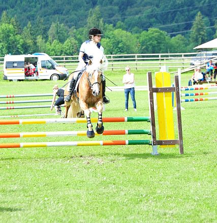 Springen Haflinger Bundesmannschaftsmeisterschaft 2016 Fotograf Christian Kapfinger