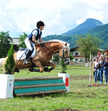 Springen Haflinger Bundesmannschaftsmeisterschaft 2016 Fotograf Christian Kapfinger