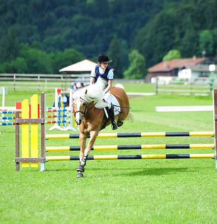 Springen Haflinger Bundesmannschaftsmeisterschaft 2016 Fotograf Christian Kapfinger