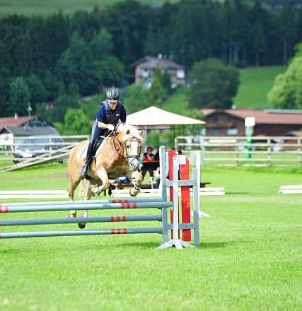 Springen Haflinger Bundesmannschaftsmeisterschaft 2016 Fotograf Christian Kapfinger