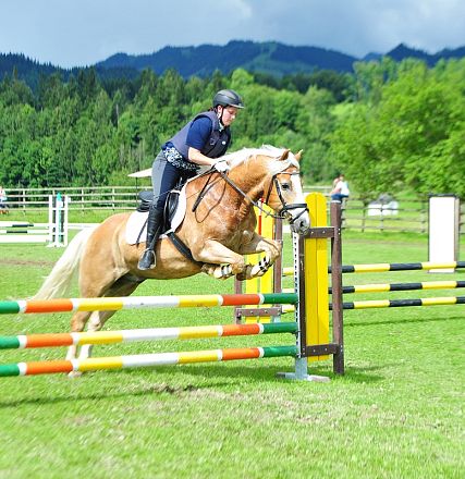 Springen Haflinger Bundesmannschaftsmeisterschaft 2016 Fotograf Christian Kapfinger