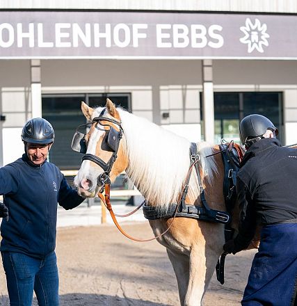 stutleistungspruefung-2023-050