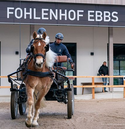 stutleistungspruefung-2023-100-1
