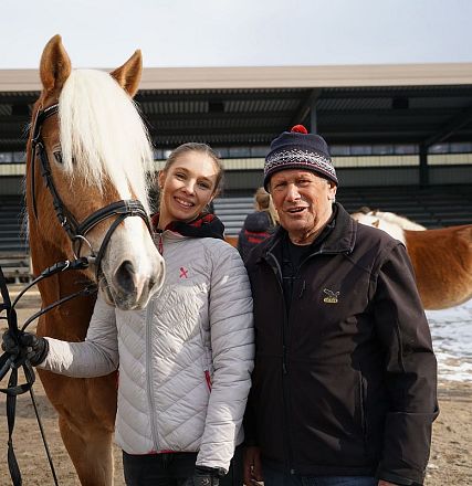 Tiroler Haflinger Hengstkörung 2018