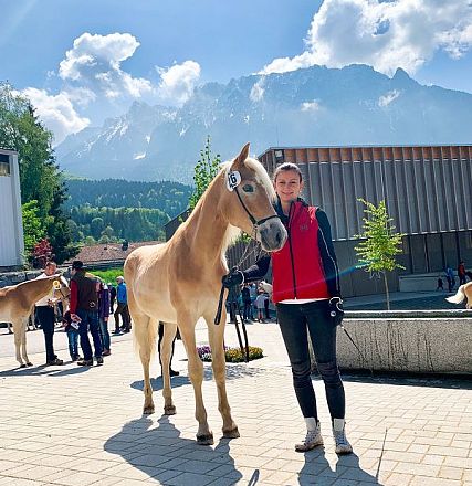 Tiroler Haflinger Jähringsschau Fohlenhof Ebbs 2019