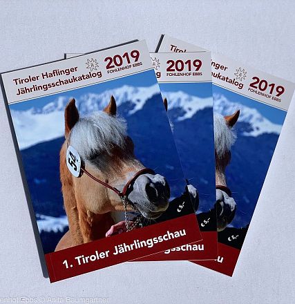 Tiroler Haflinger Jähringsschau Fohlenhof Ebbs 2019