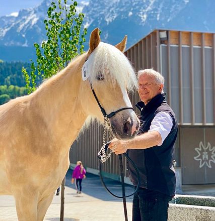 Tiroler Haflinger Jähringsschau Fohlenhof Ebbs 2019
