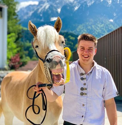 Tiroler Haflinger Jähringsschau Fohlenhof Ebbs 2019