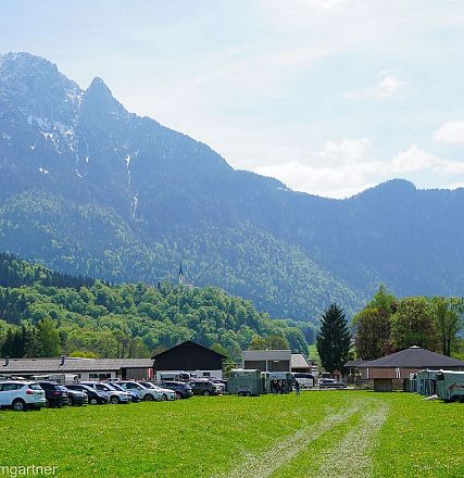 Tiroler Haflinger Jähringsschau Fohlenhof Ebbs 2019
