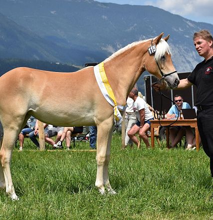 weer-amorelie