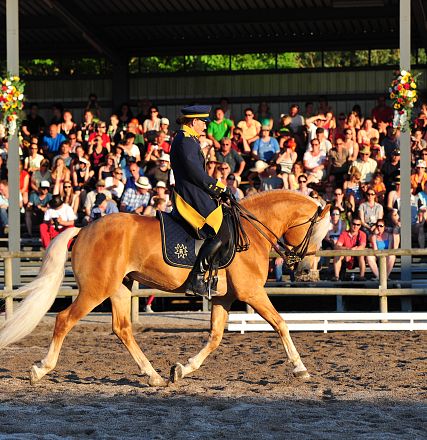 Weltsiegerhengst Amerigo Einzeldressur Weltausstellung 2015 Fohlenhof Ebbs Fotograf Christian Kapfinger