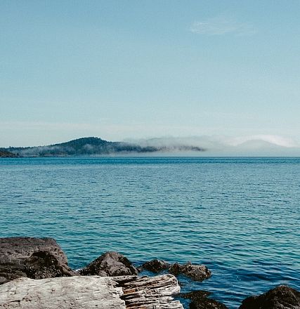 wood-sea-landscape-nature2