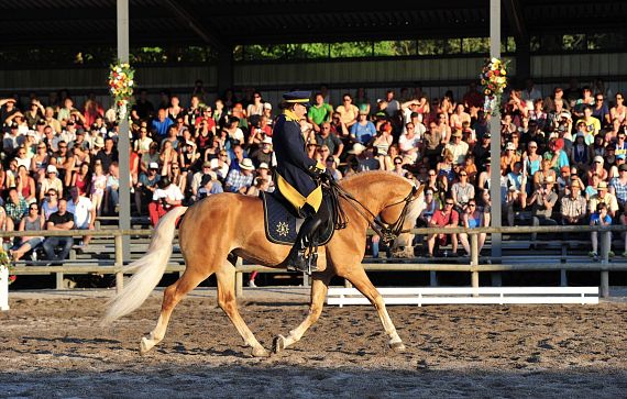 Schauprogramm_Amerigo_HWA2015